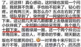 雪莲爆料视频在线观看,揭秘幕后真相，带你走进事件核心